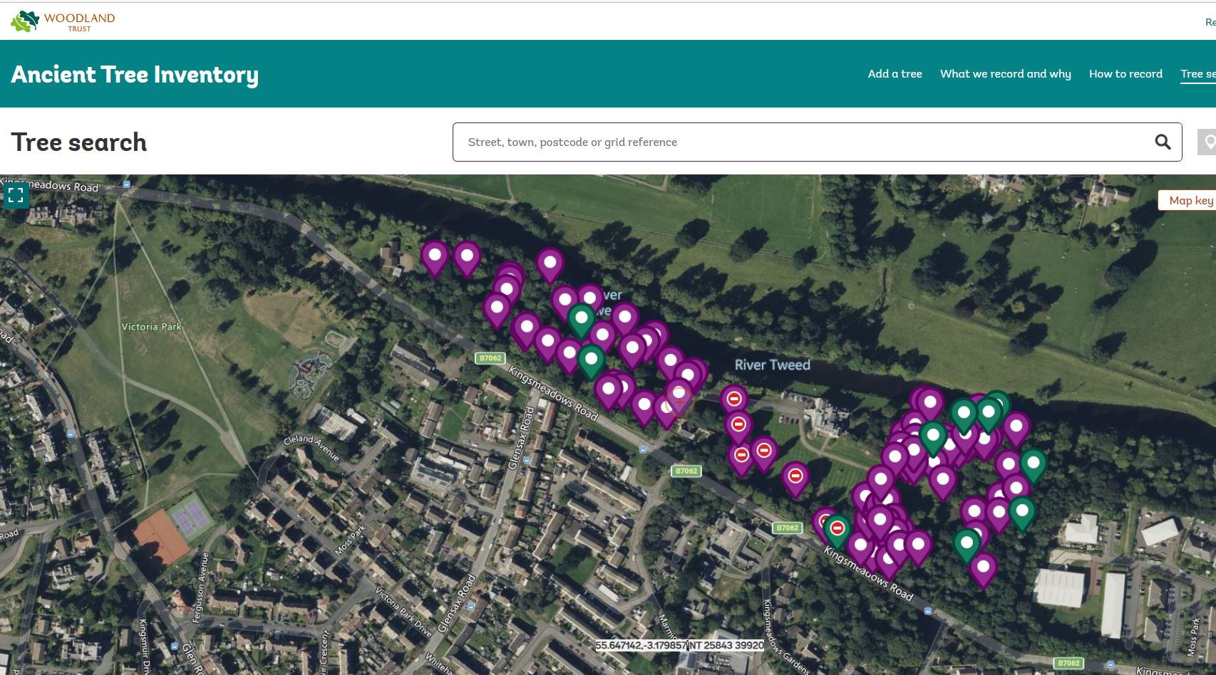 Ancient Tree Inventory